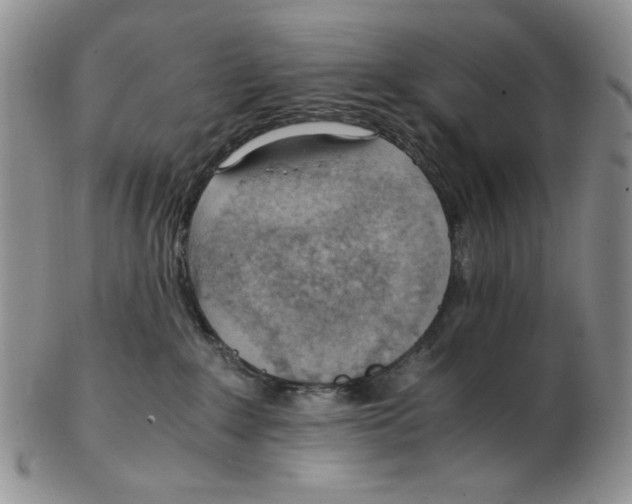 X0000102760235200809151022