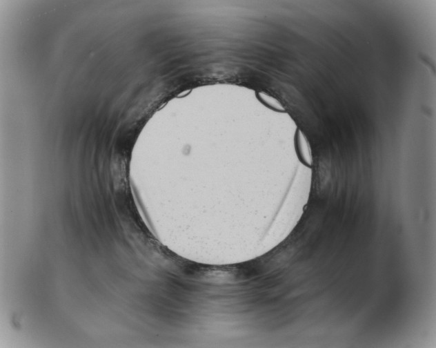 X0000102760236200809151022