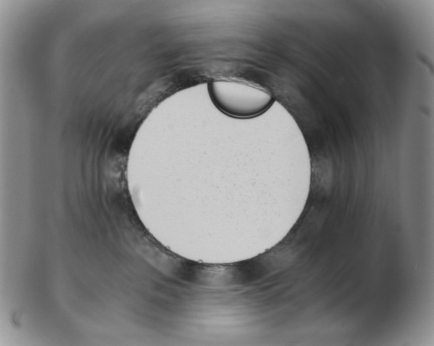 X0000102760237200809151022