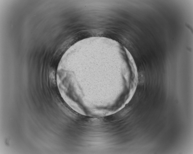 X0000102760238200809151022