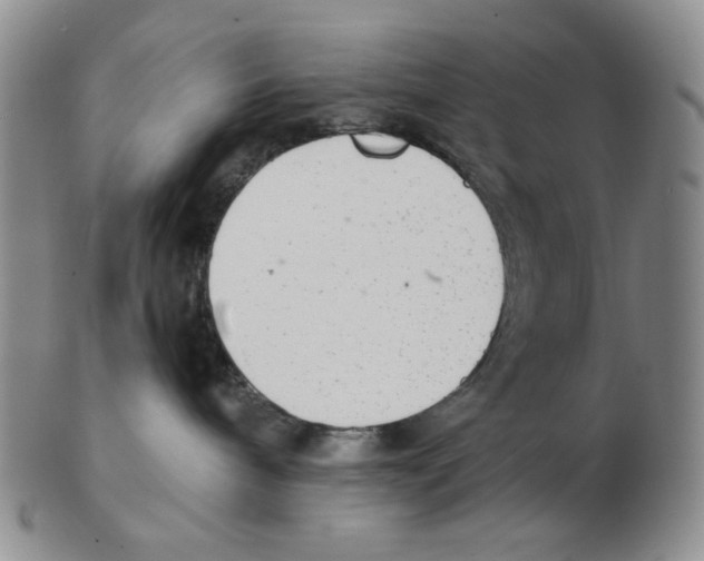X0000102760240200809151022