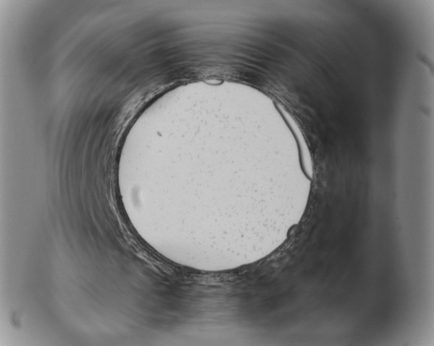 X0000102760241200809151021