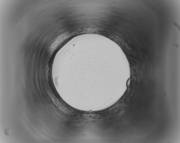 X0000102760242200809151021