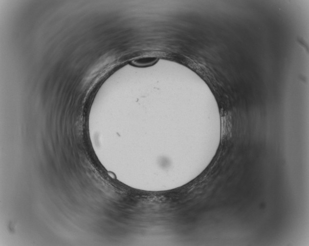 X0000102760243200809151021