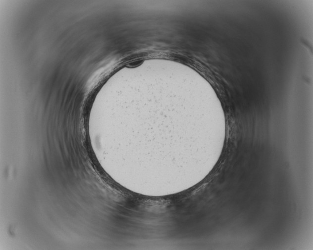 X0000102760245200809151021