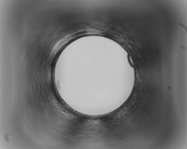 X0000102760247200809151021