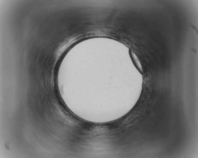 X0000102760248200809151021