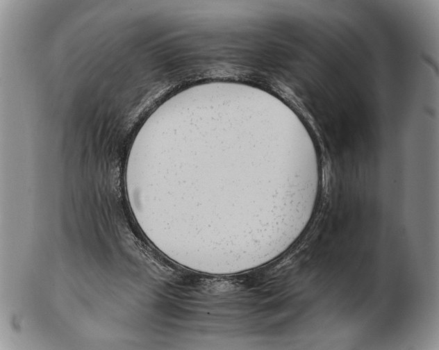 X0000102760249200809151021