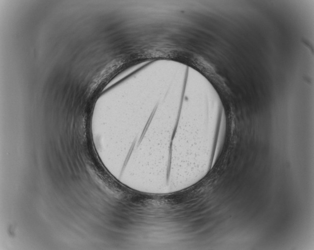 X0000102760250200809151021