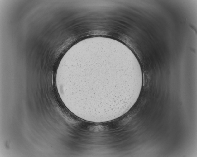 X0000102760253200809151021