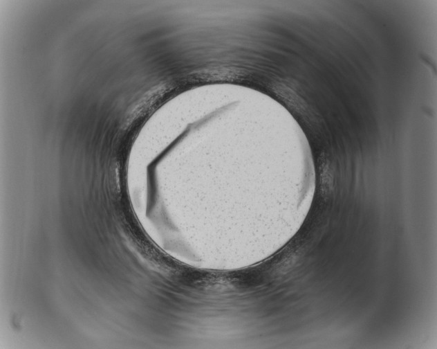 X0000102760254200809151022
