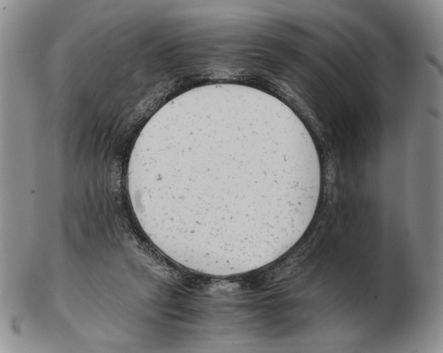 X0000102760257200809151022