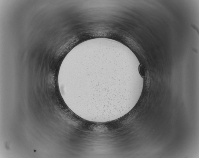 X0000102760258200809151022