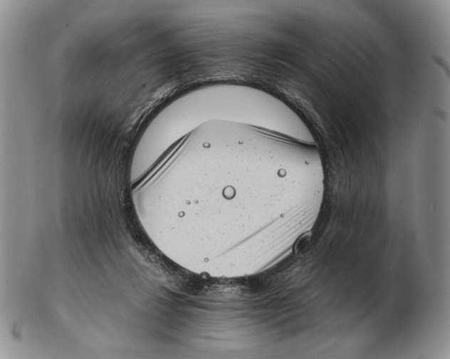 X0000102760260200809151022