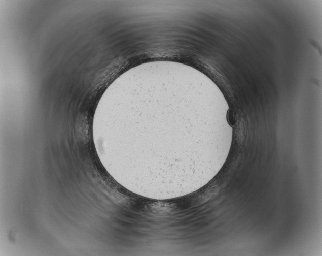 X0000102760261200809151022