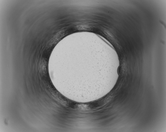 X0000102760265200809151022