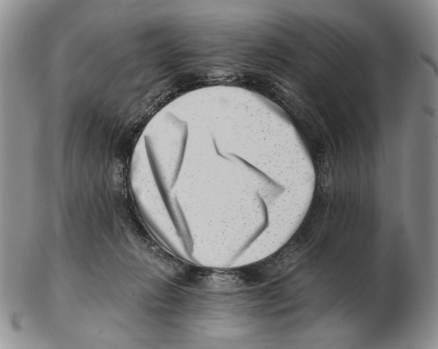 X0000102760270200809151022