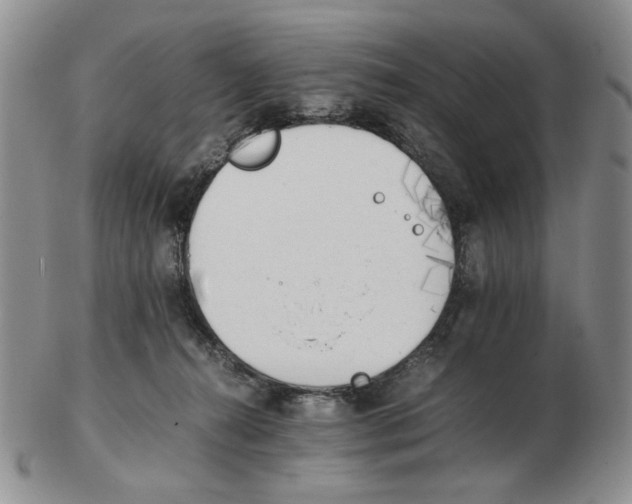 X0000102760272200809151022