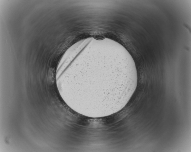 X0000102760273200809151022