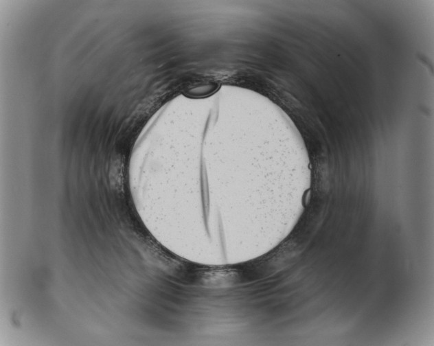 X0000102760274200809151022