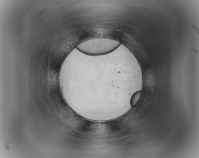 X0000102760276200809151022