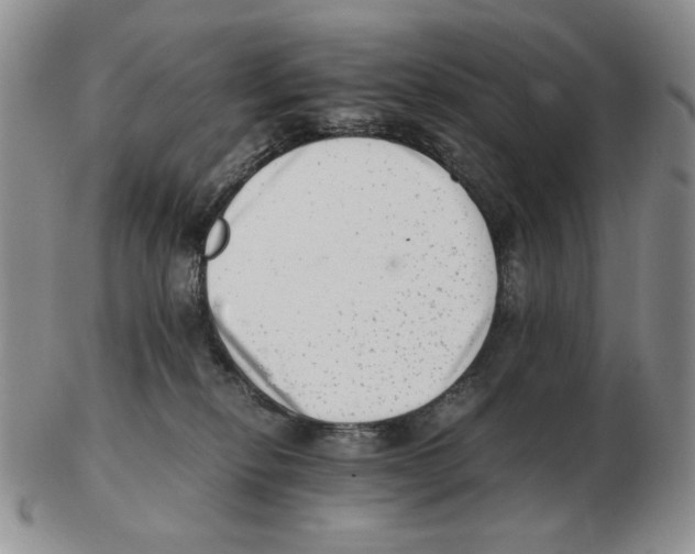 X0000102760278200809151022