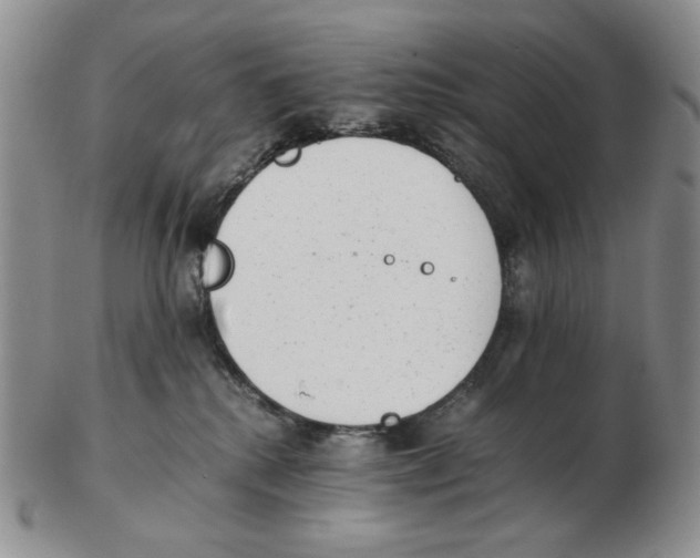 X0000102760280200809151022