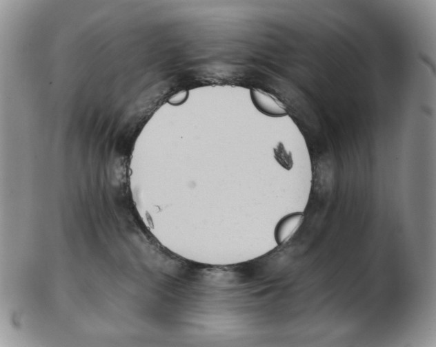 X0000102760284200809151022