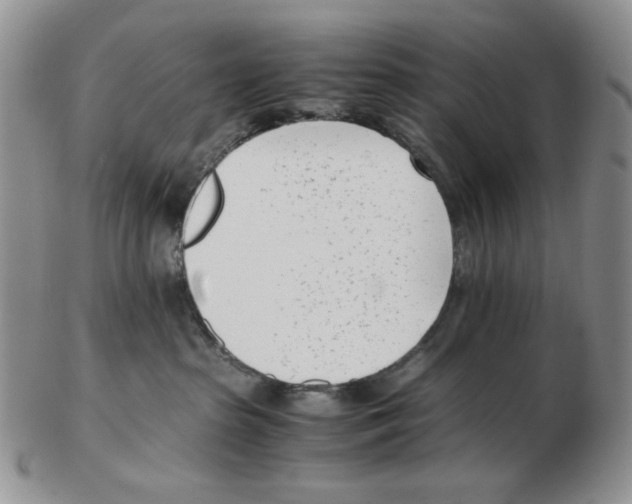 X0000102760285200809151022