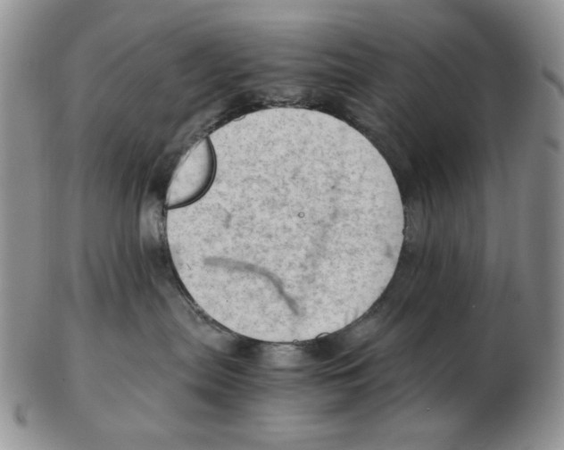 X0000102760287200809151022