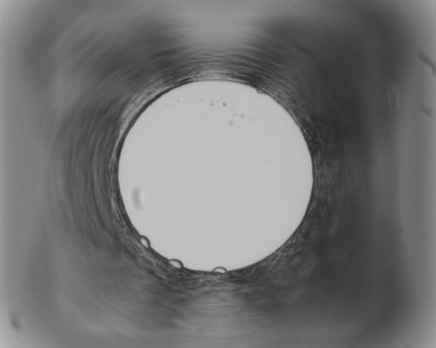X0000102760289200809151021
