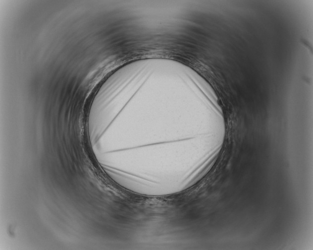 X0000102760290200809151021