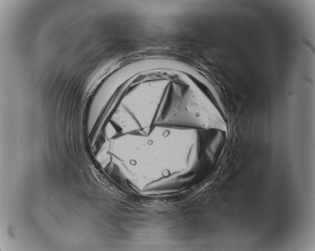 X0000102760293200809151021