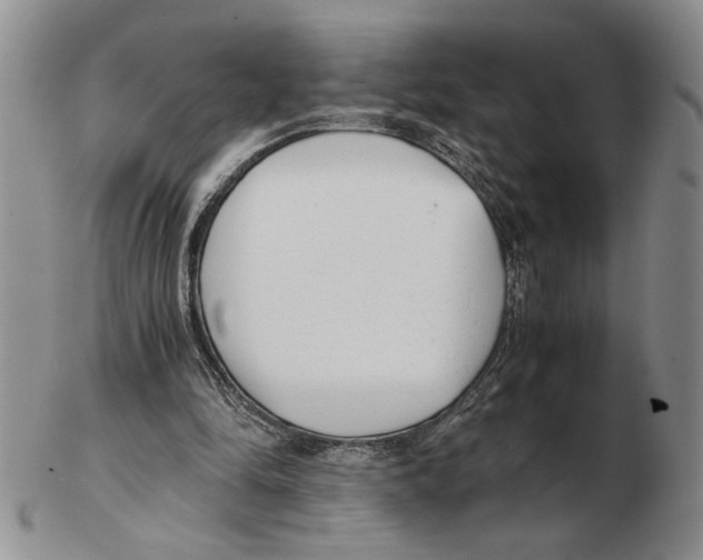 X0000102760294200809151021