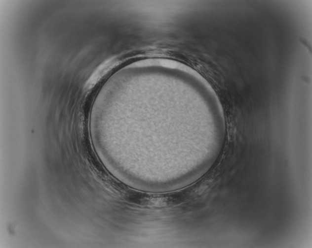 X0000102760295200809151021