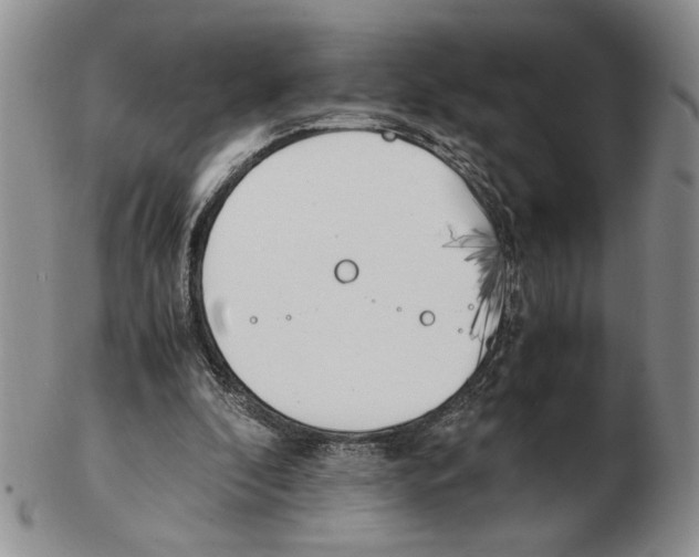 X0000102760296200809151021