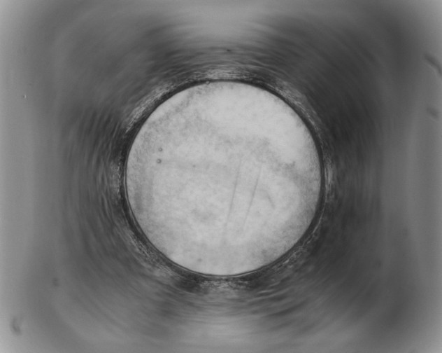 X0000102760297200809151021
