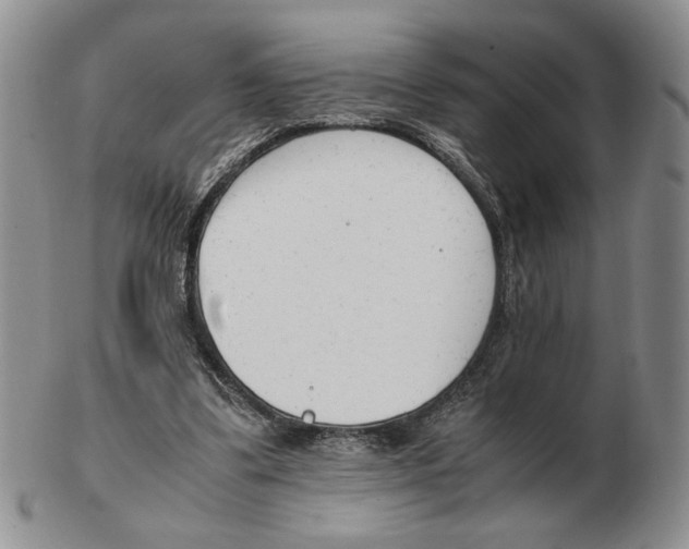 X0000102760299200809151021