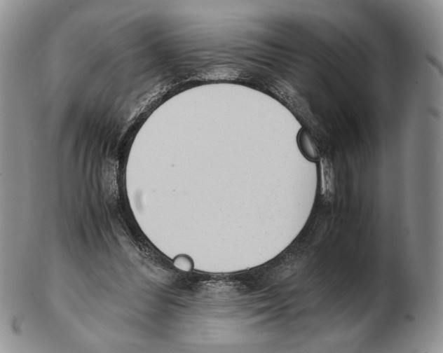 X0000102760300200809151021