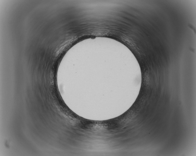 X0000102760303200809151021