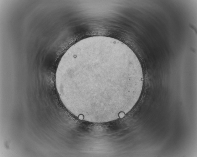 X0000102760305200809151021