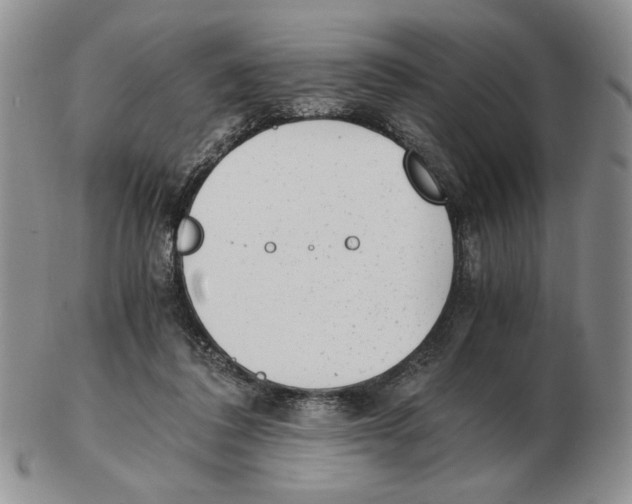 X0000102760308200809151021