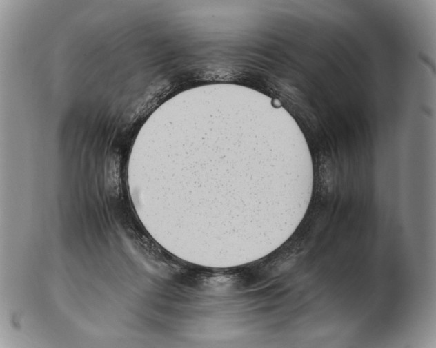 X0000102760312200809151021