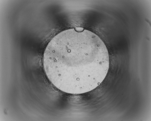 X0000102760313200809151021