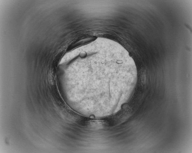 X0000102760316200809151021