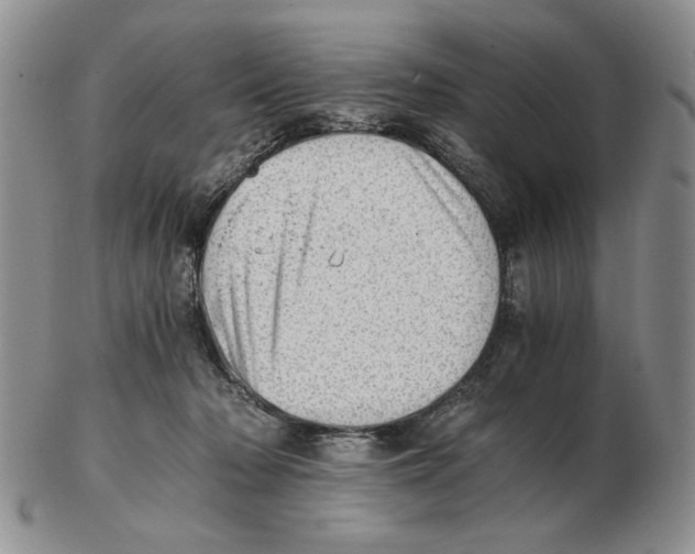 X0000102760318200809151021