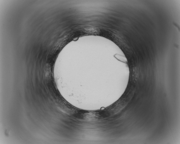 X0000102760320200809151021