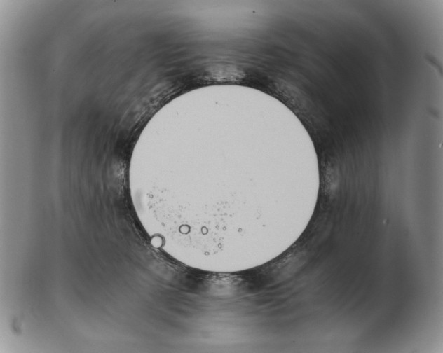 X0000102760321200809151021