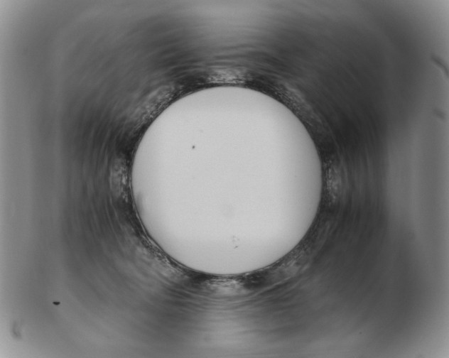 X0000102760322200809151021