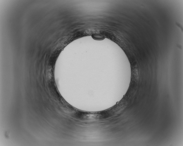 X0000102760323200809151020